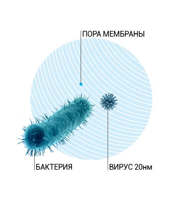 Фильтр фильтрация бактерий. Фильтрационная мембрана. Поры мембраны. Фильтры вирусы.